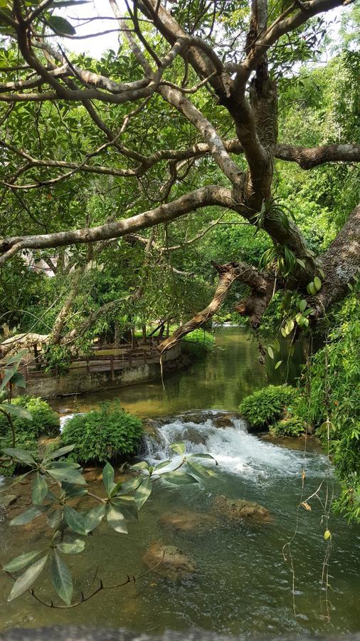 Khao Nam Fah Resort Pakchong Exterior photo